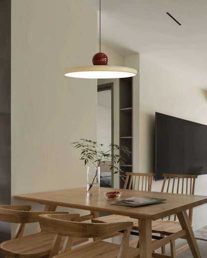 Contemporary Pendant Lamp, Stylish Design